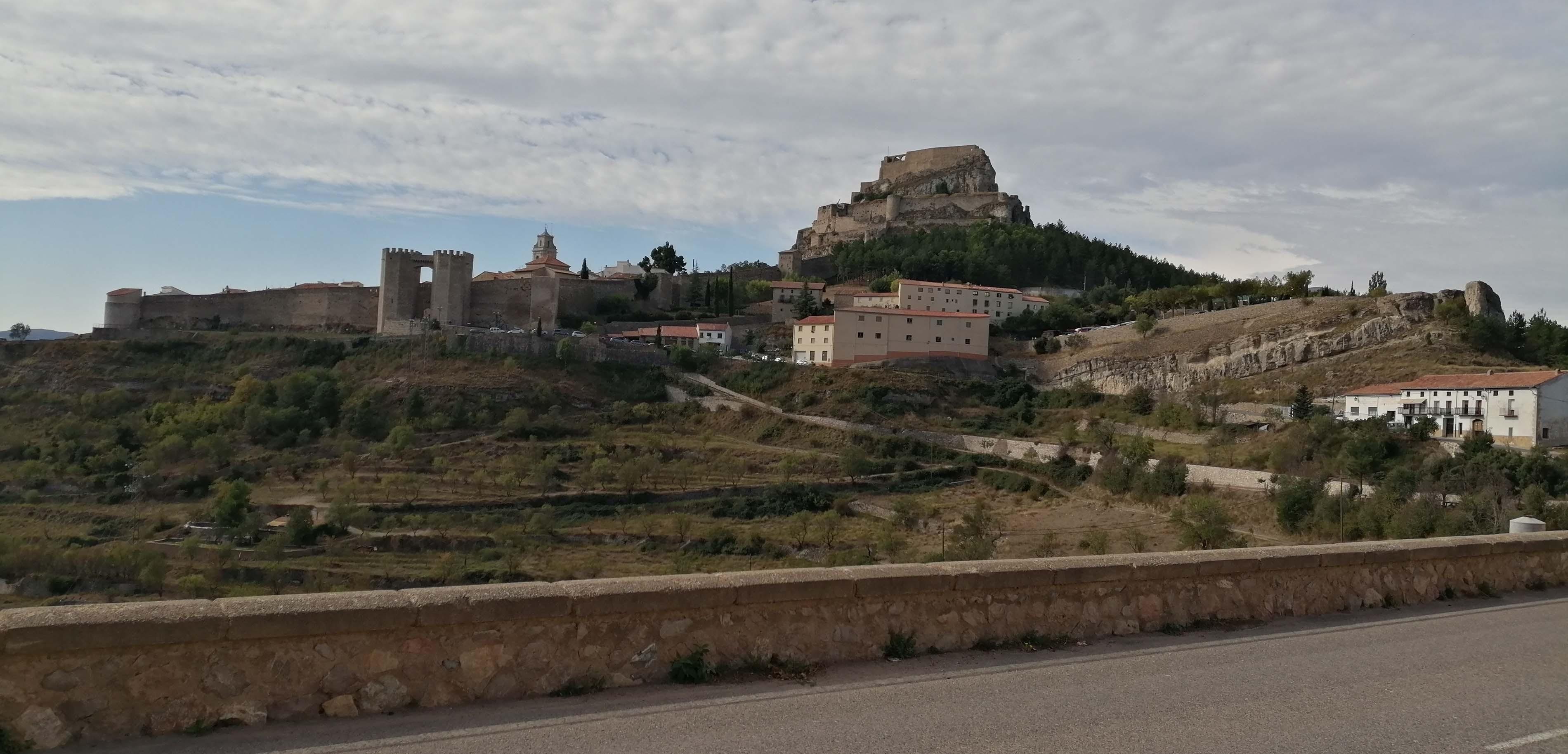 92 morella copie