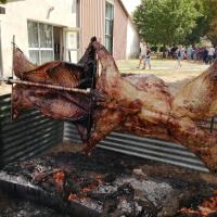 Champetre charente 7 