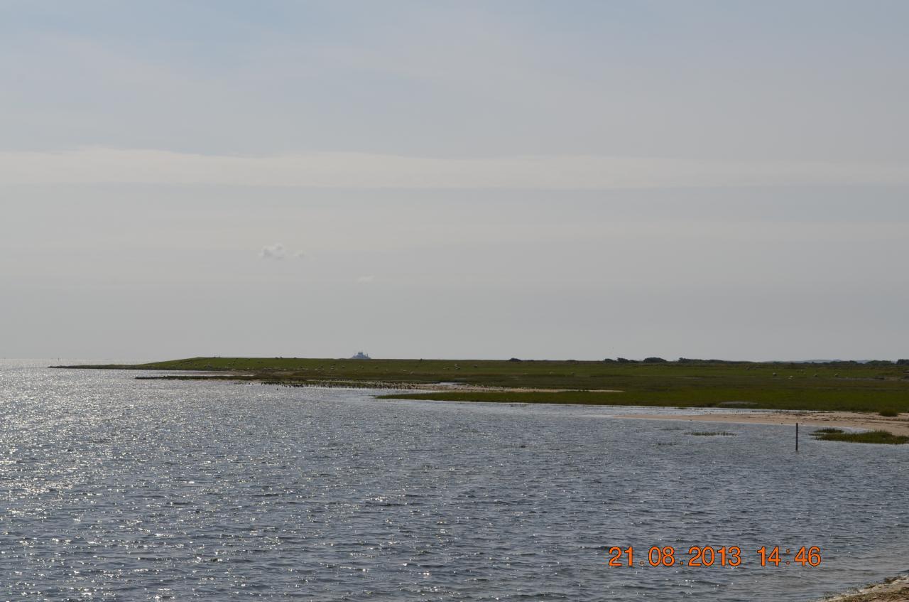 DSC_5240