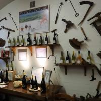 Guedelon (7)
