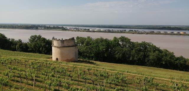 Img 20220515 103354