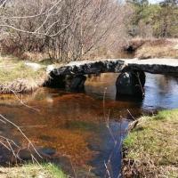 Img 20230409 115428 copy 