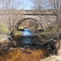 Img 20230409 121118 copy 