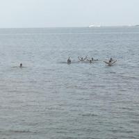 Img 20240902 170839 copy 2