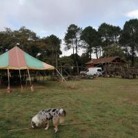 Img 20240907 121446 copy 2