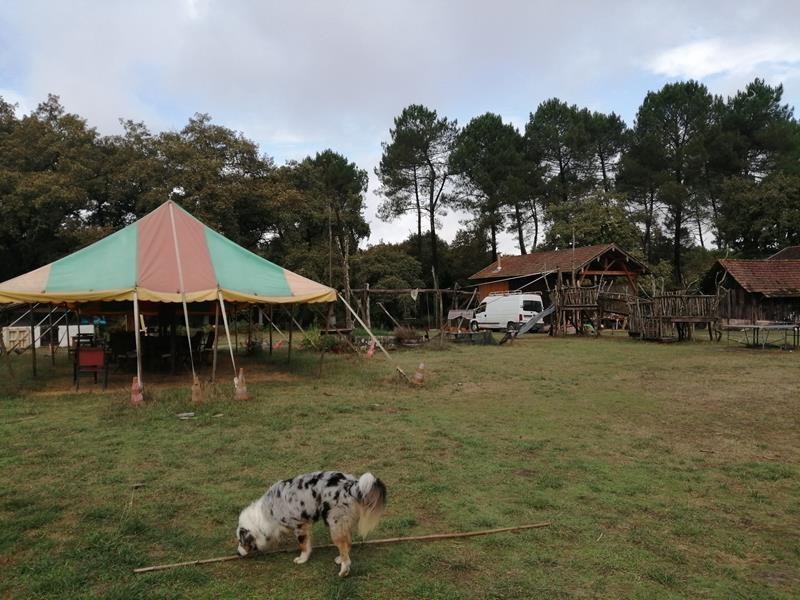 Img 20240907 121446 copy 