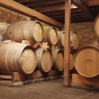 Img 20250509 113546 copy 3