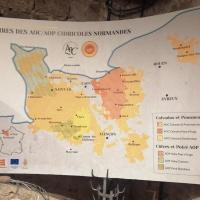 Img 20250509 113622 copy 4