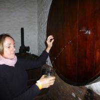 Pays basque Bayonne 028