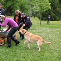 rallye ZL 1er Mai 2014 210