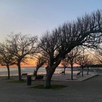 Received 243127221346087