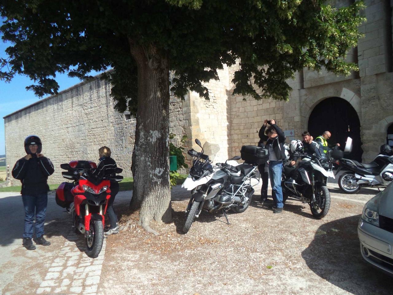 sortie du 21 juin 2015 zigs loups 011
