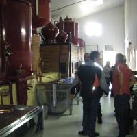 sortie du 8 nov 003001