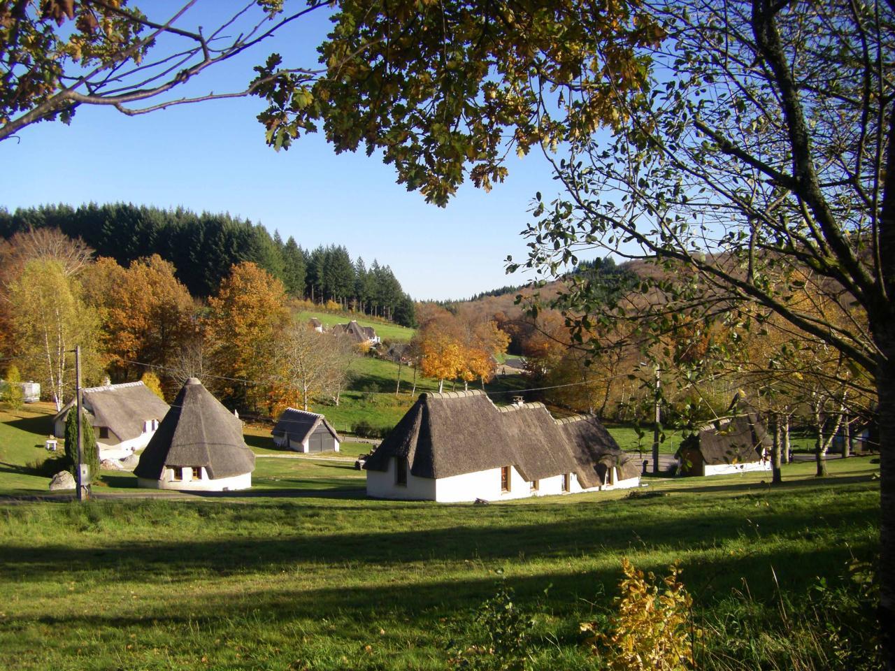 Sortie Peyrelevade 1er Nov. 2015 016001