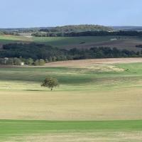 Villebois lavalette 10 copy 